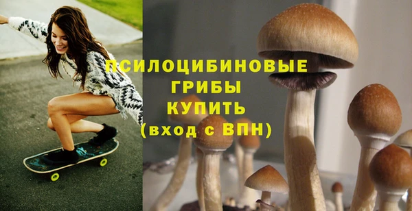 прущий лед Володарск