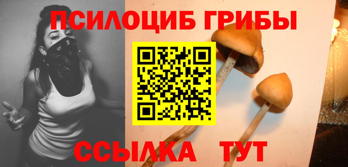 Волоколамск  Галлюциногенные грибы мицелий  Вход с VPN  Псилоцибиновые грибы Psilocybine cubensis 
