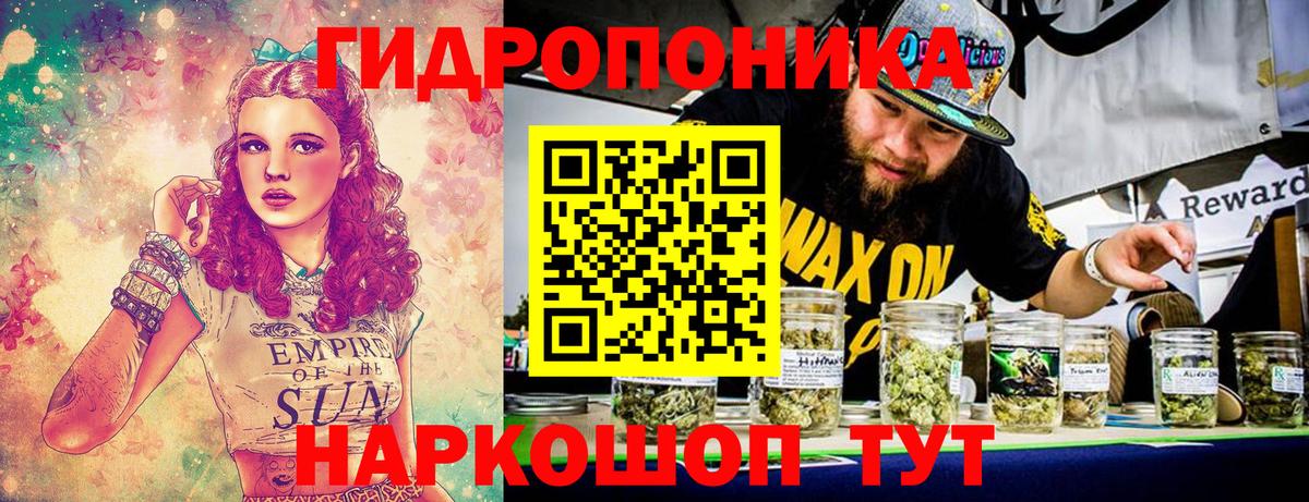Шишки марихуана Bruce Banner  Шишки марихуана план  Бошки марихуана планчик  Вход с VPN  Волоколамск 